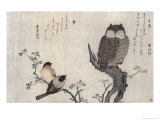 Buy Owl and Two Eastern Bullfinches, Birds Compared in Humorous Songs, c.1791 at AllPosters.com