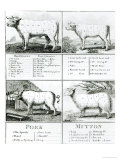 Beef, Veal, Pork, and Mutton Cuts, 1802