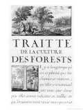 Buy Traite de La Culture Des Forets at AllPosters.com