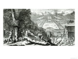 Buy Illustration from The Reasons For Establishing the Colony of Georgia by Benjamin Martyn at AllPosters.com