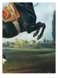 Black Horse Performing the Courbette