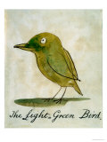 Buy The Light Green Bird, from Sixteen Drawings of Comic Birds at AllPosters.com