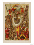 Buy Ozeanisch-Australische Kulture, Illustration from the Myers Konversations-Lexikon, 1895 at AllPosters.com