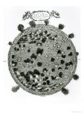 Buy Surface of the Sun Showing Sunspots, from Mundus Subterraneus Published in Amsterdam 1664-5 at AllPosters.com