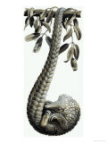 Buy The Pangolin at AllPosters.com