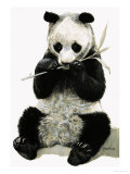 Buy Panda at AllPosters.com
