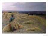Buy The Harvesters, Svinklov-VIIldemosen, Jutland at AllPosters.com
