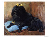 Buy Black Standard Poodle on a Blue Cushion, 1895 at AllPosters.com