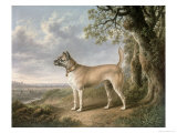 Buy Terrier on a Path in a Wooded Landscape at AllPosters.com