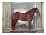 Buy Sala Dei Cavalli, Horse from Stables of Ludovico Gonzaga III of Mantua, Branded 'G', 1528 at AllPosters.com