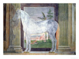 Buy Sala Dei Cavalli, Grey Horse from the Stables of Ludovico Gonzaga III of Mantua, 1528 at AllPosters.com