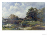 Buy Sheep Washing - West Malvern, 1899 at AllPosters.com
