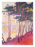 Buy Sailing Boats and Pine Trees, 1896 at AllPosters.com