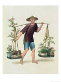 Buy Porter with Fruit Trees and Flowers, Plate 16 The Costume of China, Engraved J. Dadley, 1800 at AllPosters.com
