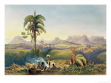 Buy Roraima, Range of Sandstone Mountains in Guiana, Views in the Interior of Guiana at AllPosters.com