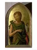 St. John the Baptist, Panel from Polyptych Removed from the Church of St. Francesco in Padua, 1451