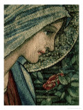 The Virgin's Face, Detail from the Adoration of the Magi, William Morris and Co. Merton Abbey