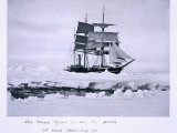 Terra Nova