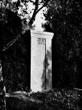 View of Gustav Mahler's Gravestone