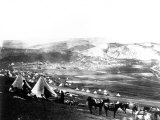 Buy Allied Encampment, Crimea, c.1855 at AllPosters.com