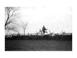 Fox Hunt Jump