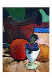 Flower Pot and Fruit