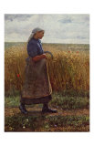 Summer Harvest Art Print