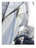 Amazing Sail