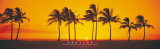 Buy Sunset - Destiny at AllPosters.com