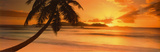 Buy Sunset at AllPosters.com
