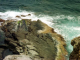 Buy Waves Crash Against the Rocks at Seal Bay on Kangaroo Island, Australia, December 7, 2001 at AllPosters.com