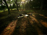 Buy A Japanese Man Naps Among the Trees Inside Tokyo's Yoyogi Park Tuesday, June 27, 2006 at AllPosters.com