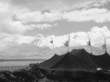 Buy Nomads' Black Tents on the Land of Phari, in the Background the Chomolhari at AllPosters.com