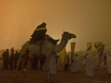The Millennium Celebration at the Giza Pyramids