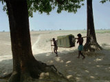 A Teenage Bride is Carried in a Marriage Carriage, or "Doli", to Her New Husband's Hom