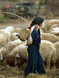 Buy An Iraqi Shepherd, a Young Girl, Herds Her Sheep at AllPosters.com