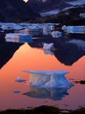 Buy An Iceberg Floats at AllPosters.com