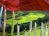Buy Praying Flags with Village and Farmlands at Pepe La Pass, Phobjikha Valley, Gangtey, Bhutan at AllPosters.com