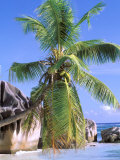 Granite Outcrops, La Digue Island, Seychelles, Africa