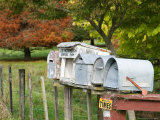 Letterboxes, King Country, North Island, New Zealand