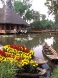 Old-Fashioned Boats with Traditional Flowers, Mekong Delta, Vietnam