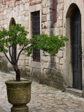 Courtyard of Topkapi Palace, Istanbul, Turkey