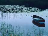 Buy Rowboat on Lake Surrounded by Water Lilies, Lake District National Park, England at AllPosters.com