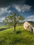 Buy Old Farmhouse, Pergusa, Enna, Sicily, Italy at AllPosters.com