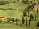 Winding Tuscan Road, Monticchiello, Tuscany, Italy