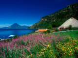 Buy View of Hotel Grounds and Lake, Hotel Atitlan, Lake Atitlan, Guatemala at AllPosters.com