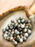 Buy Black Pearl Farming at Hinano Pearl Farm, Fakarava, Tuamotus, French Polynesia at AllPosters.com