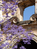 Buy Purple Spring Flowers in Bloom, La Compania de Jesus, Antigua, Guatemala at AllPosters.com