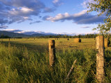 Buy Hay Bales in Field, Whitefish, Montana, USA at AllPosters.com