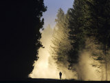 Mountain Biker on a Dusty Road, Swan Valley, Montana, USA